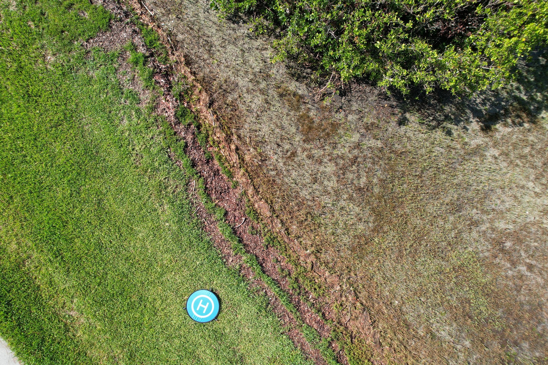 A drone photo of R.E. Olds Park, Tampa Bay, Florida by drone photographer Anita Denunzio