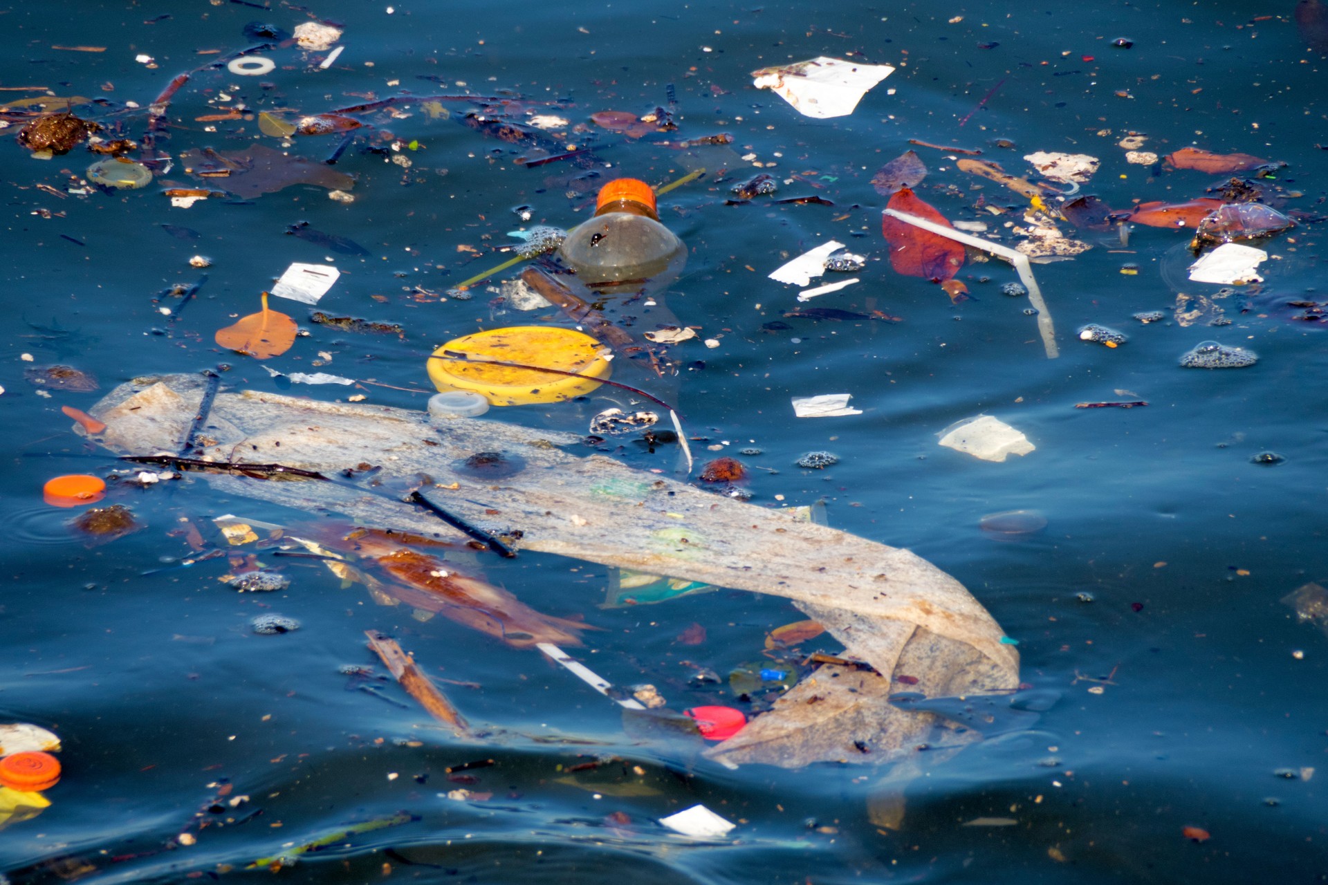 Water pollution