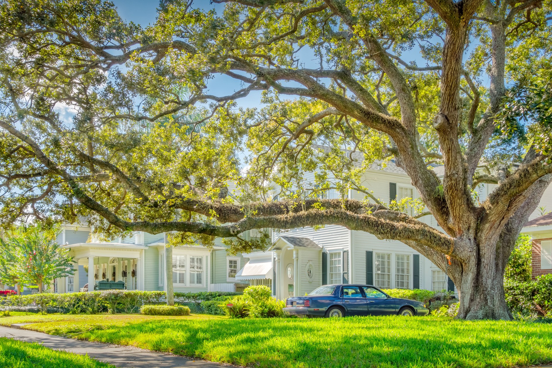 Tampa Florida Traditional Large Houses